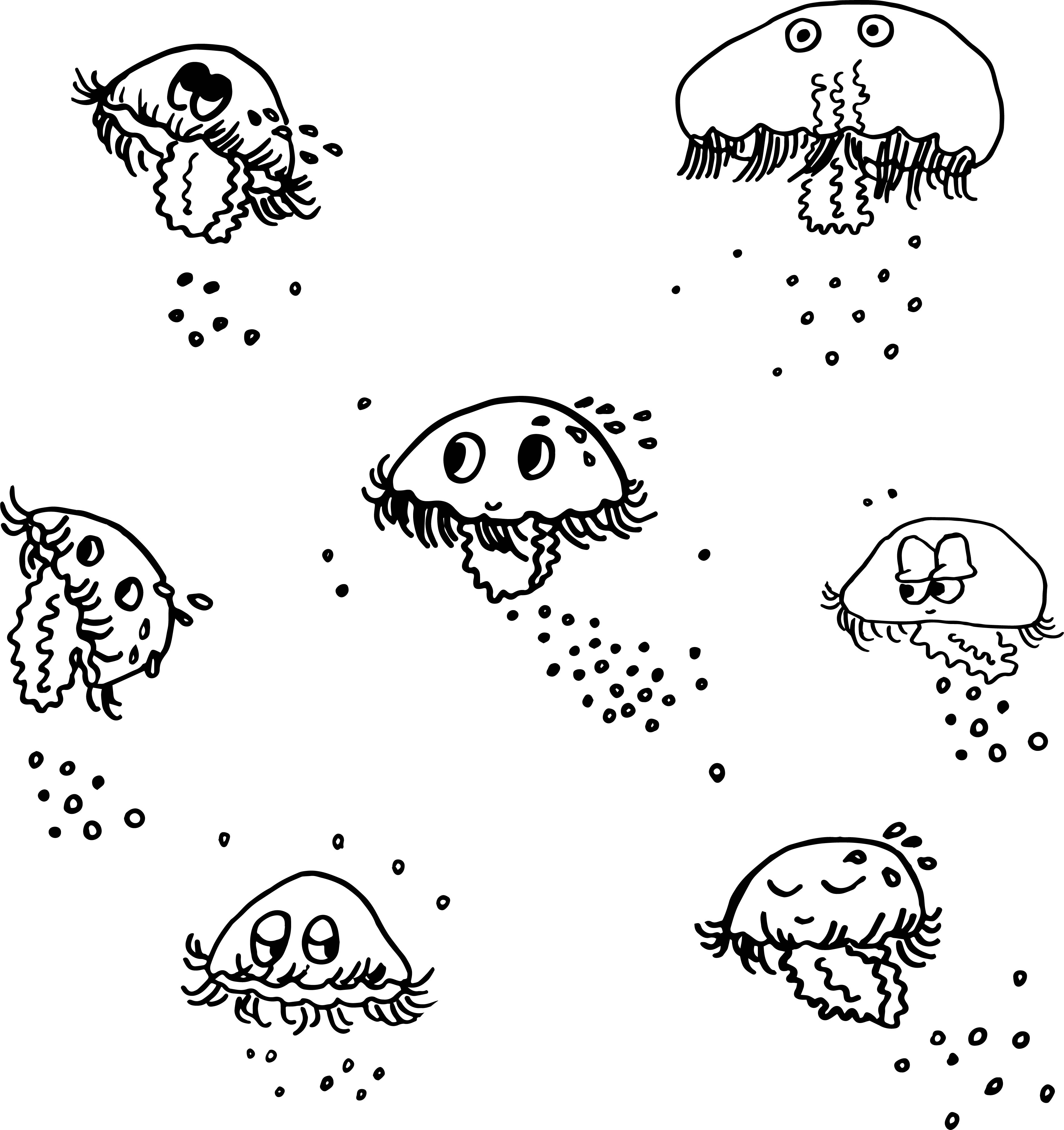 Jellyfish drawings
